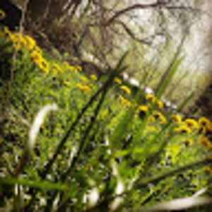 Meet your Posher, Dylan